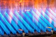 Craigside gas fired boilers